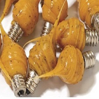 Rustic String Light Bulb Packs ~ 4 Watt