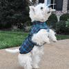 Navy Blue and Turquoise Plaid Alpine Flannel Coat