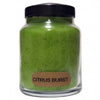 A Cheerful Giver 6 Ounce Baby Jar Candle ~ Clean & Refreshing Scents