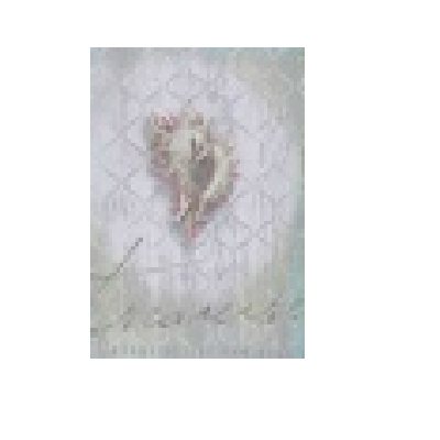 Creative Bath Sea Treasures Shower Curtain
