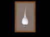 Scented Silicone 4 Watt Bulb