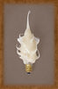 Small Silicone Flicker Campfire Bulb ~ Candelabra Base