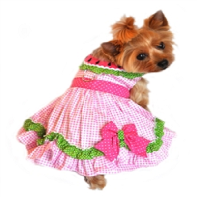Watermelon Velcro Dress