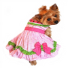 Watermelon Velcro Dress