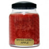 A Cheerful Giver 6 Ounce Baby Jar Candle ~ Holiday Scents