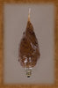 Large Flicker Bulbs ~ Candelabra Base
