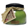 A Cheerful Giver 22 Ounce Mama Jar Candle ~ Fresh & Fruity Scents