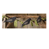 Crow Banner