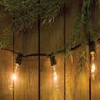 Edison Strand of String Lights