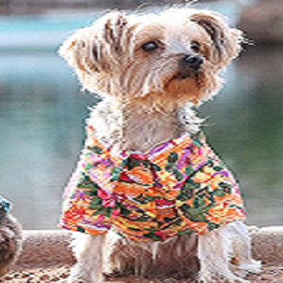 Hawaiian Camp Shirt ~ Hibiscus Floral