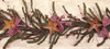Primitive Pine Garland