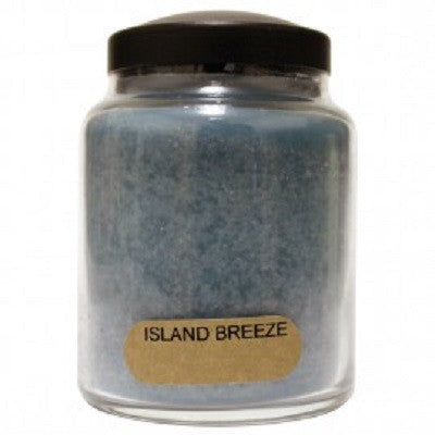 A Cheerful Giver 6 Ounce Baby Jar Candle ~ Clean & Refreshing Scents