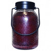 Simplicity Juicy Apple Scented Hanging Lantern Candles
