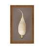 Large Silicone Small Base Bulb