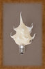 Large Silicone Campfire Bulbs ~ Candelabra Base