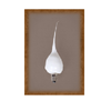 Silicone Bulb ~ Four Watt