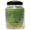 A Cheerful Giver 6 Ounce Baby Jar Candle ~ Holiday Scents