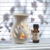 Sandalwood Oil Warmer Set