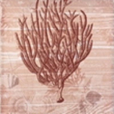 Seaside Coral Canvas Wall Art