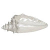 Creative Bath Seaside Soap Dish