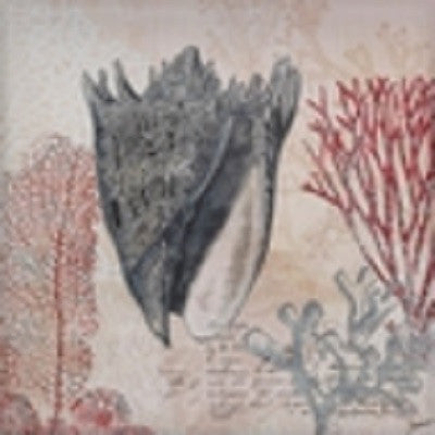 Spiked Conch Shell Canvas Wall Art