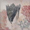 Spiked Conch Shell Canvas Wall Art