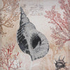 Spiral Conch Shell Canvas Wall Art