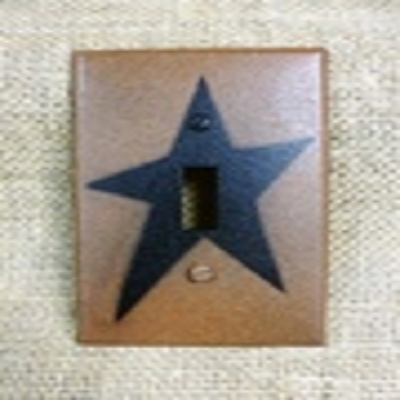 Primitive Star Single Switch Cover